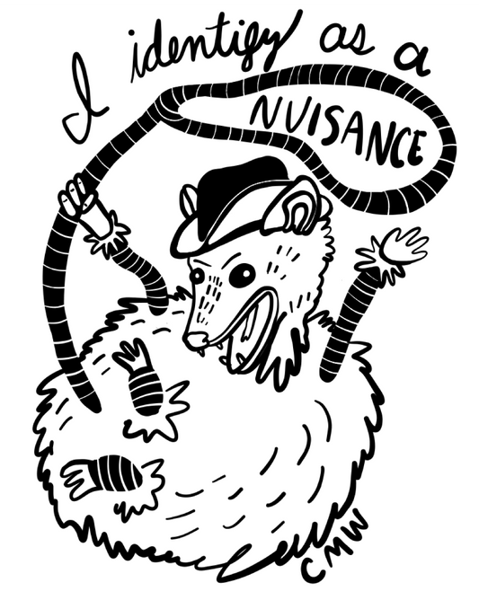 I Identify As A Nuisance Print