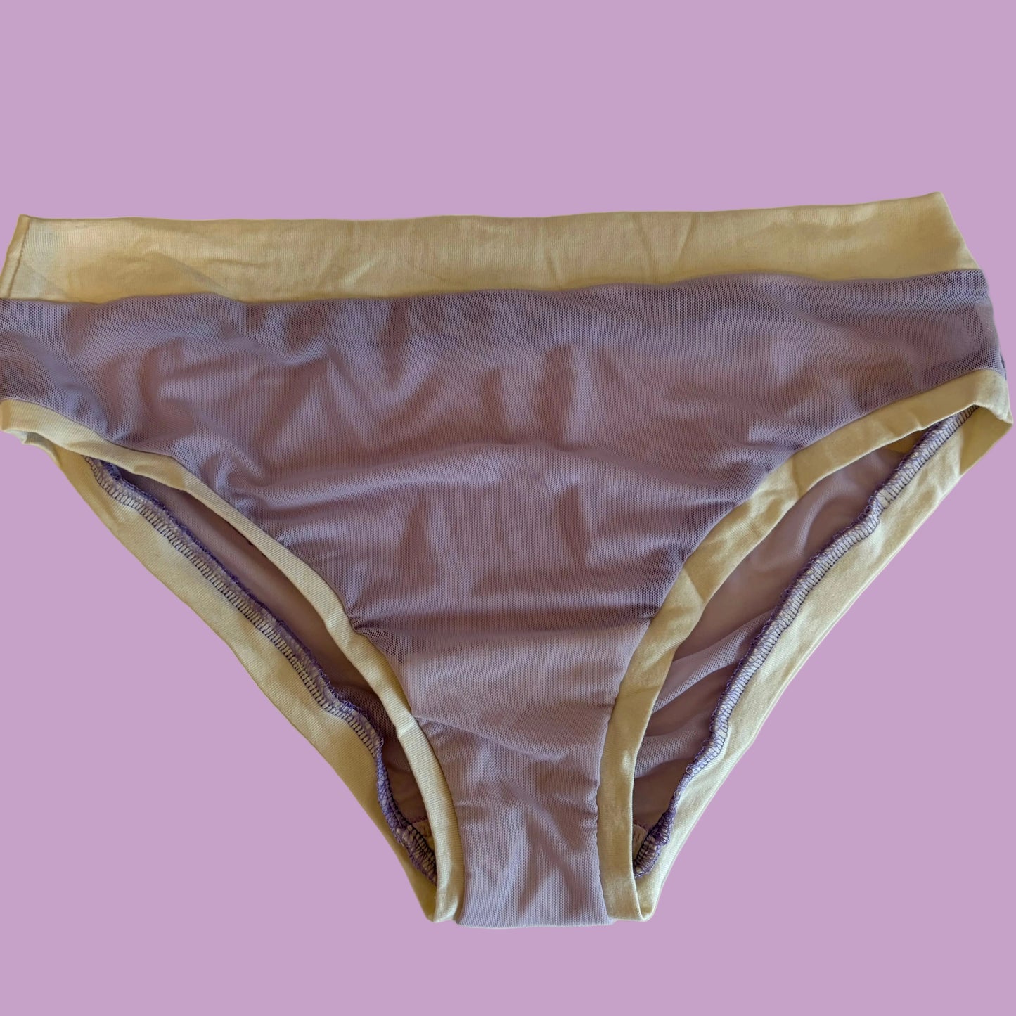Lilac Mesh: Bikini Mid Rise Bamboo Undies